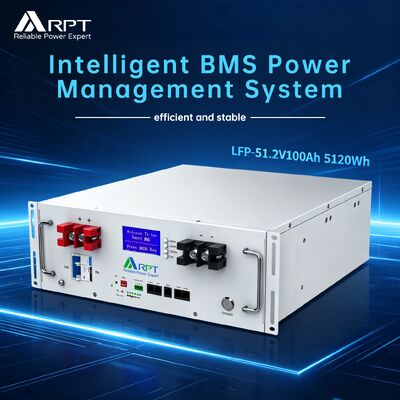 quality RPT 51.2V 100Ah LiFePO4 Rack Battery with 6000 Cycles Smart BMS and 19-inch Rack Design for Solar Backup factory